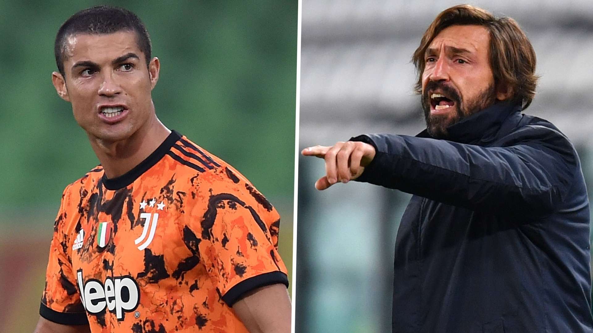 都希望能在 都希望能在